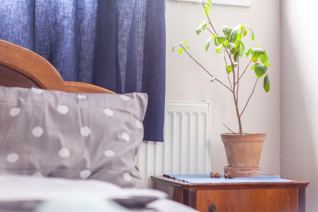 Vagabond B&B Tbiliszi Kültér fotó